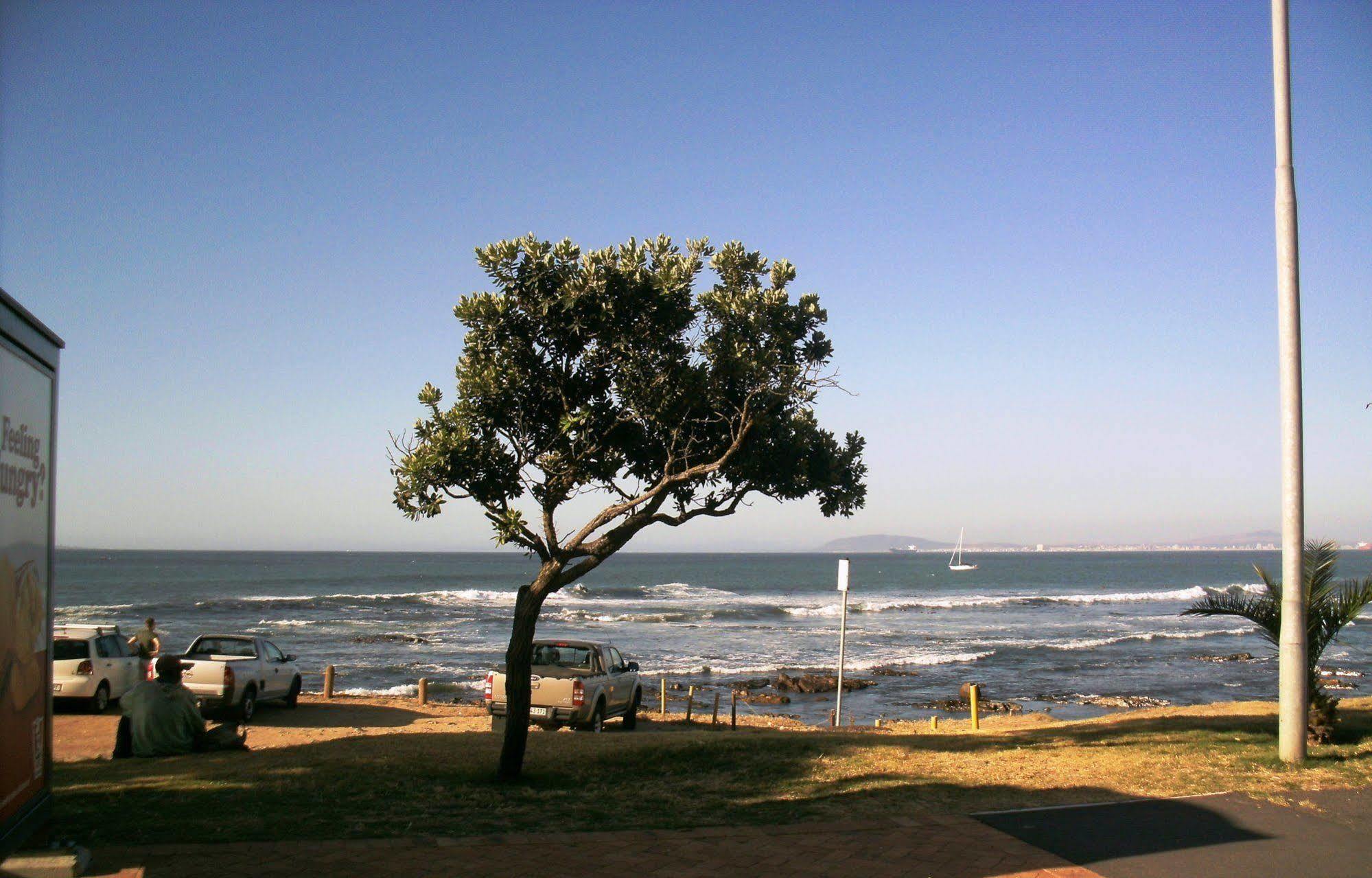 203 Mouille Grange Daire Cape Town Dış mekan fotoğraf